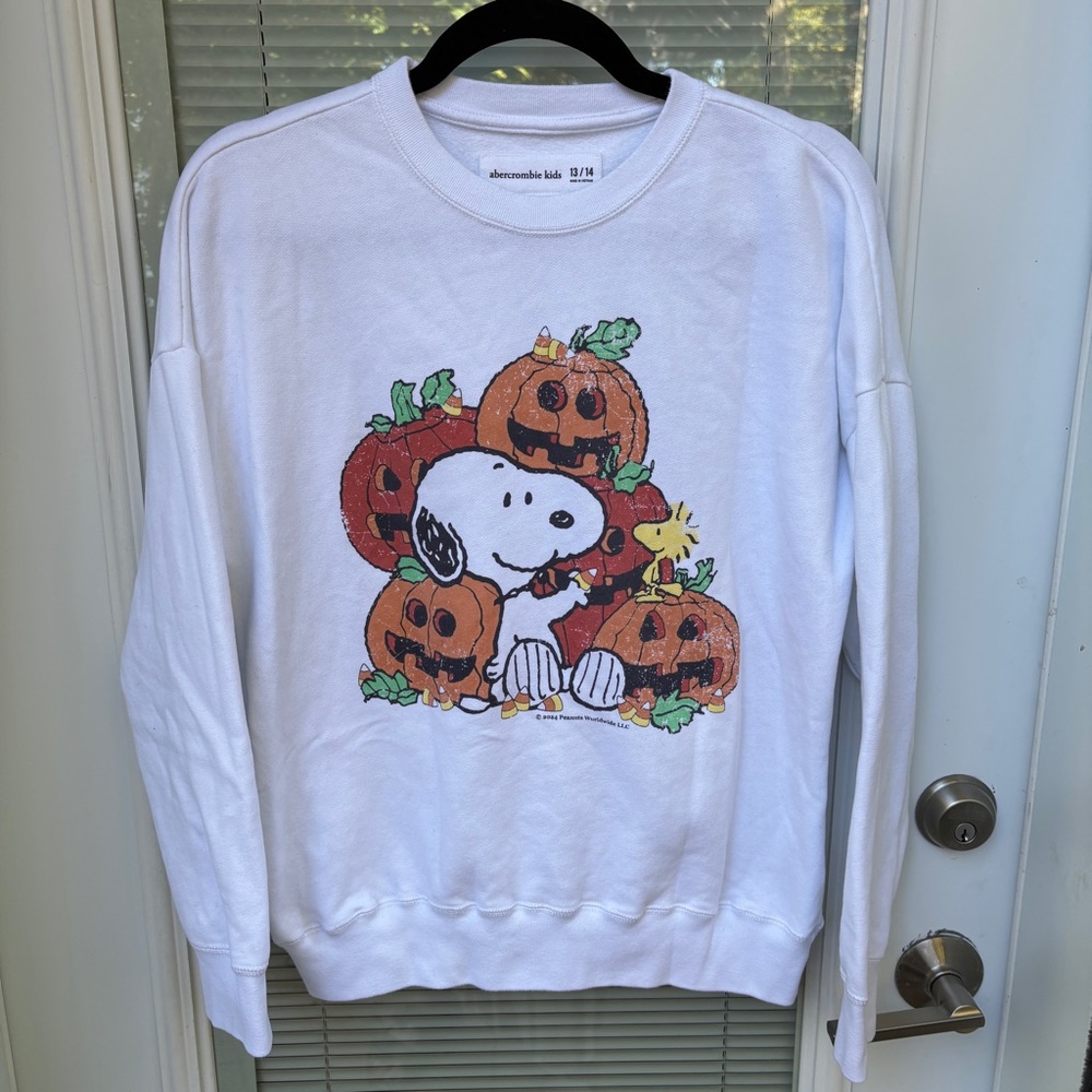 Abercrombie Kids Girls/Unisex Sweatshirt Size 13/14 Rarely Worn Fall Halloween